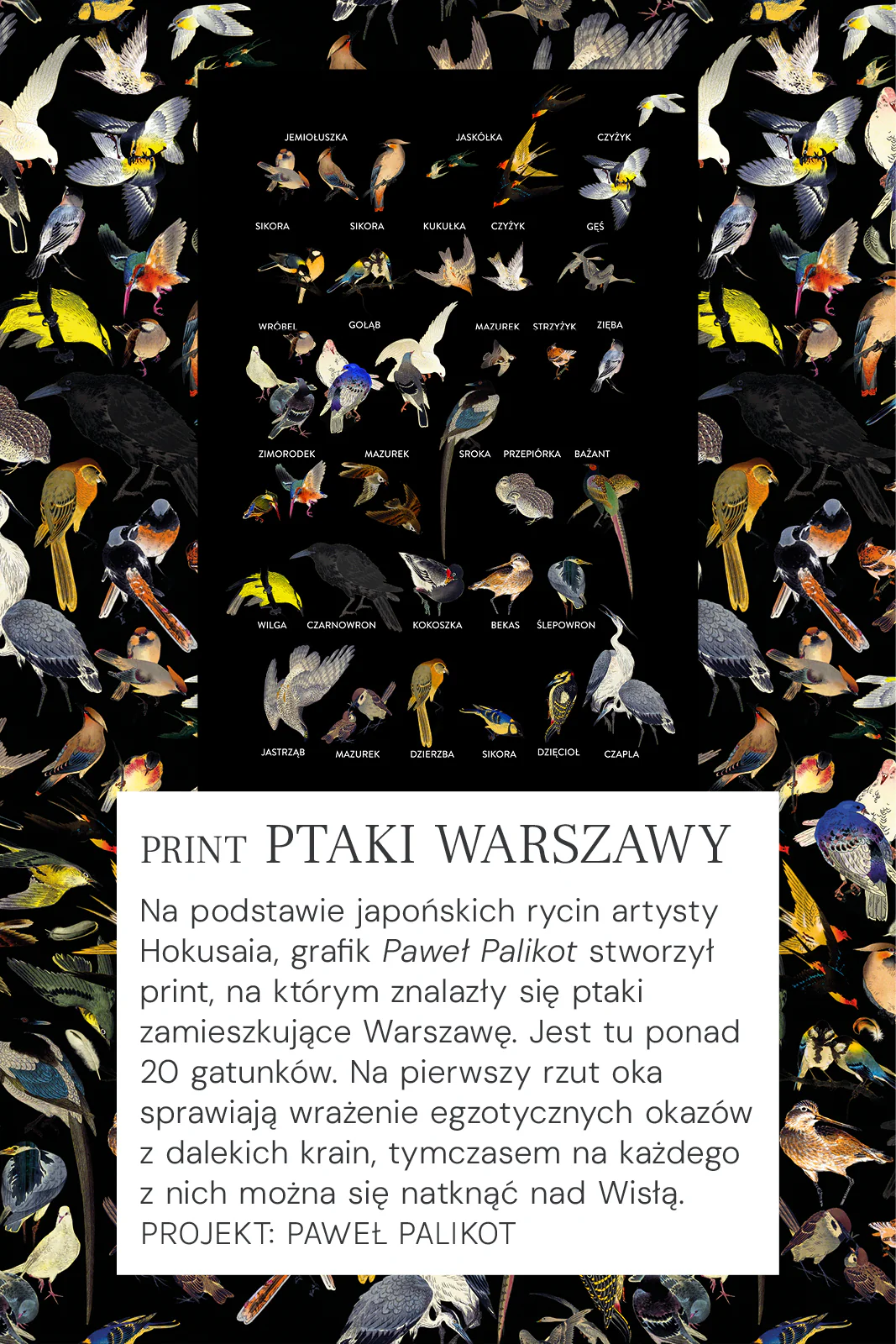 Zdjęcie produktu 21