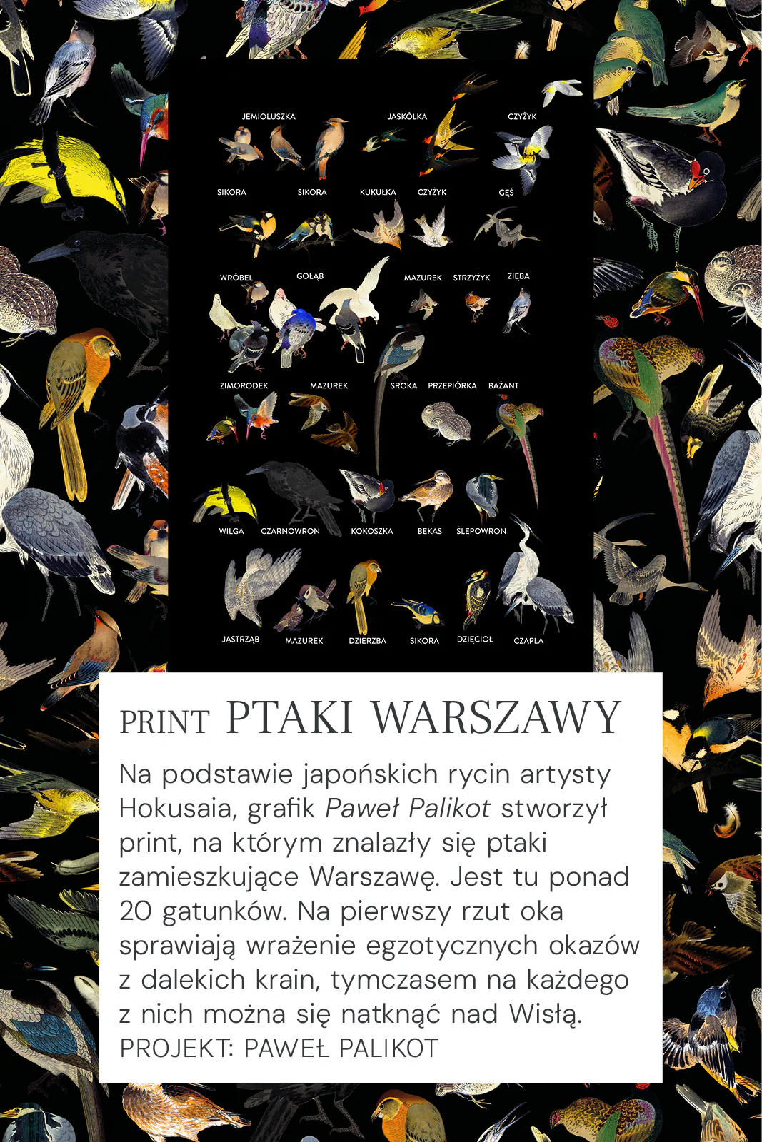 Zdjęcie produktu 21